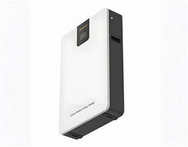 Lithium Battery Energy Storage 51.2V 200AH.